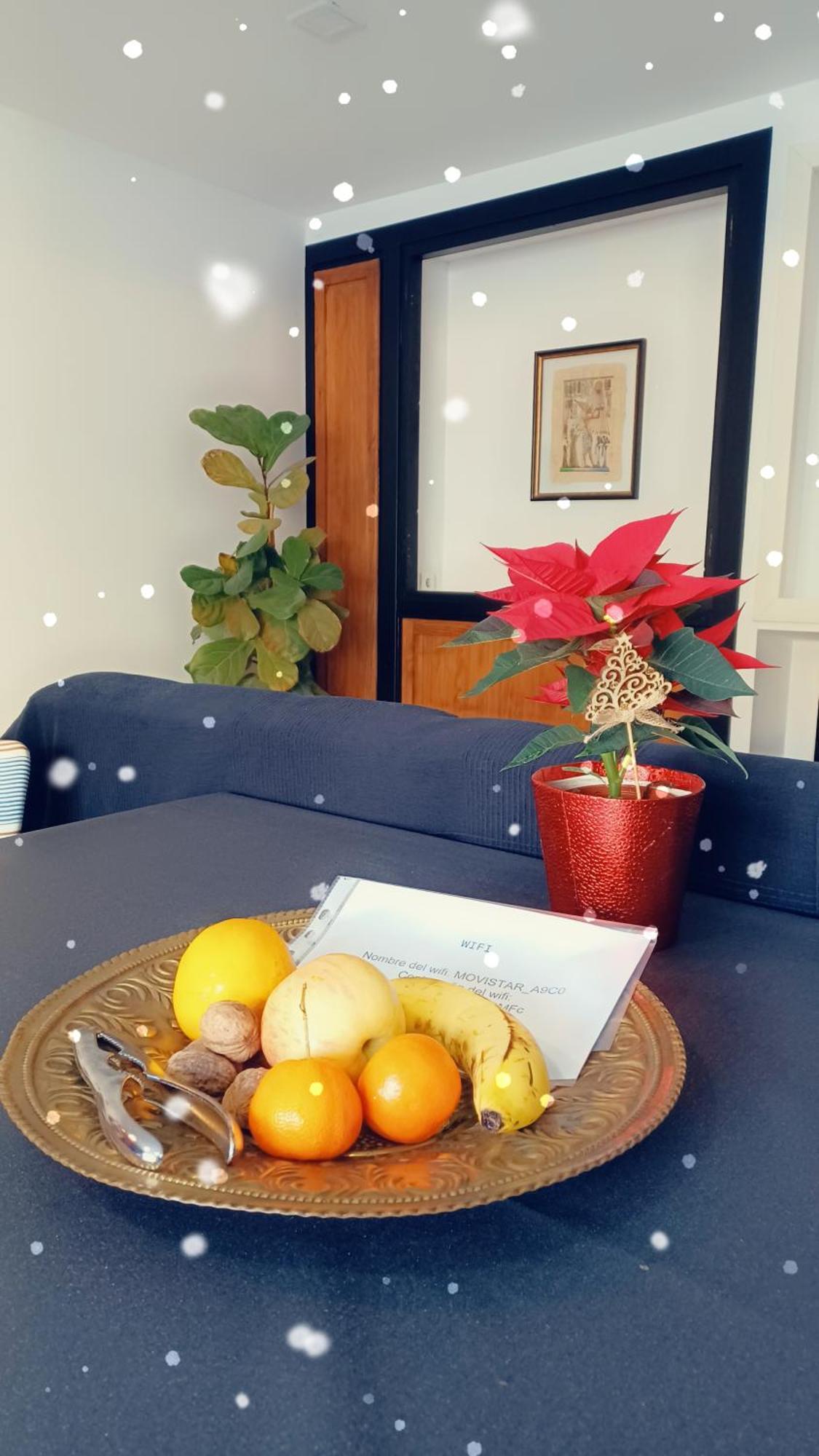 Apartamento El Maset Tárrega Dış mekan fotoğraf